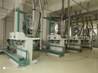 100TPD MAIZE FLOUR MACHINE / 6