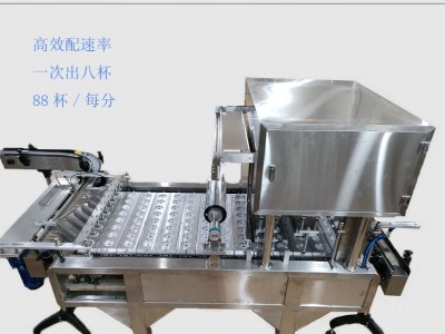 Automatic filling, sealing and packaging machine / 4