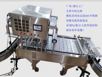 Automatic filling, sealing and packaging machine / 5