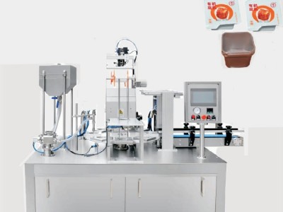 Full automatic rotary table filling vacuum sealing machine / 3