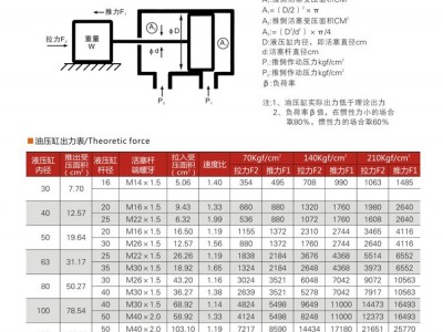 Nantong engineering oil cylinder, Nantong non-standard oil cylinder / 2