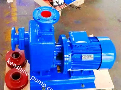 ZW Self priming sewgae pump / 3