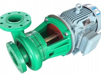 FP Polypropylene plastic pump / 2