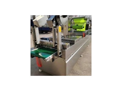 Vacuum packaging machine / 2