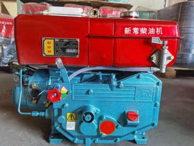 Diesel engine ZS1130 / 3