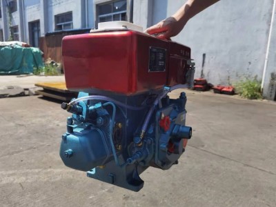 Diesel engine ZS1125 / 4