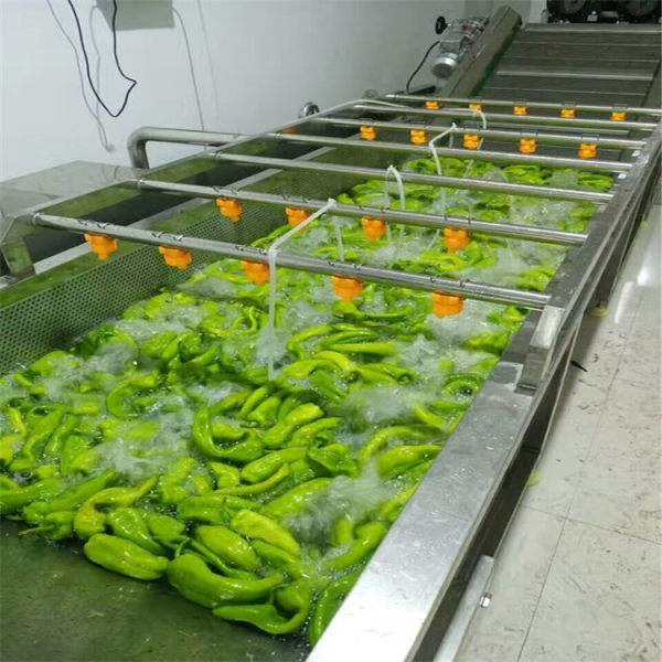 Vegetable Processing Machine / 5