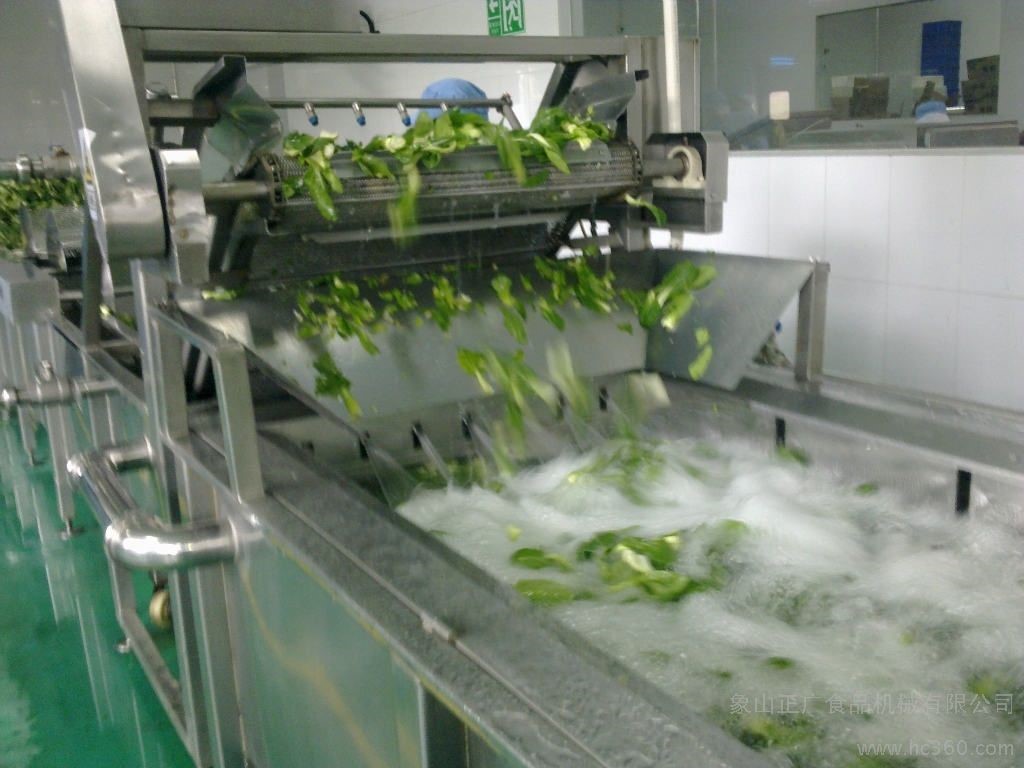 Vegetable Processing Machine / 2