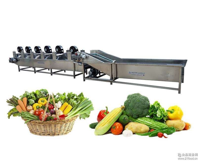 Vegetable Processing Machine / 4