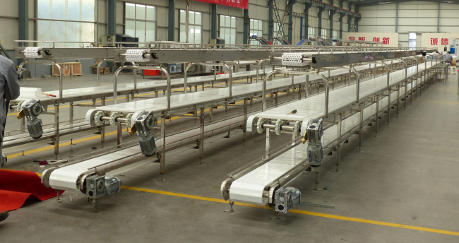 pork processing conveyor line / 3