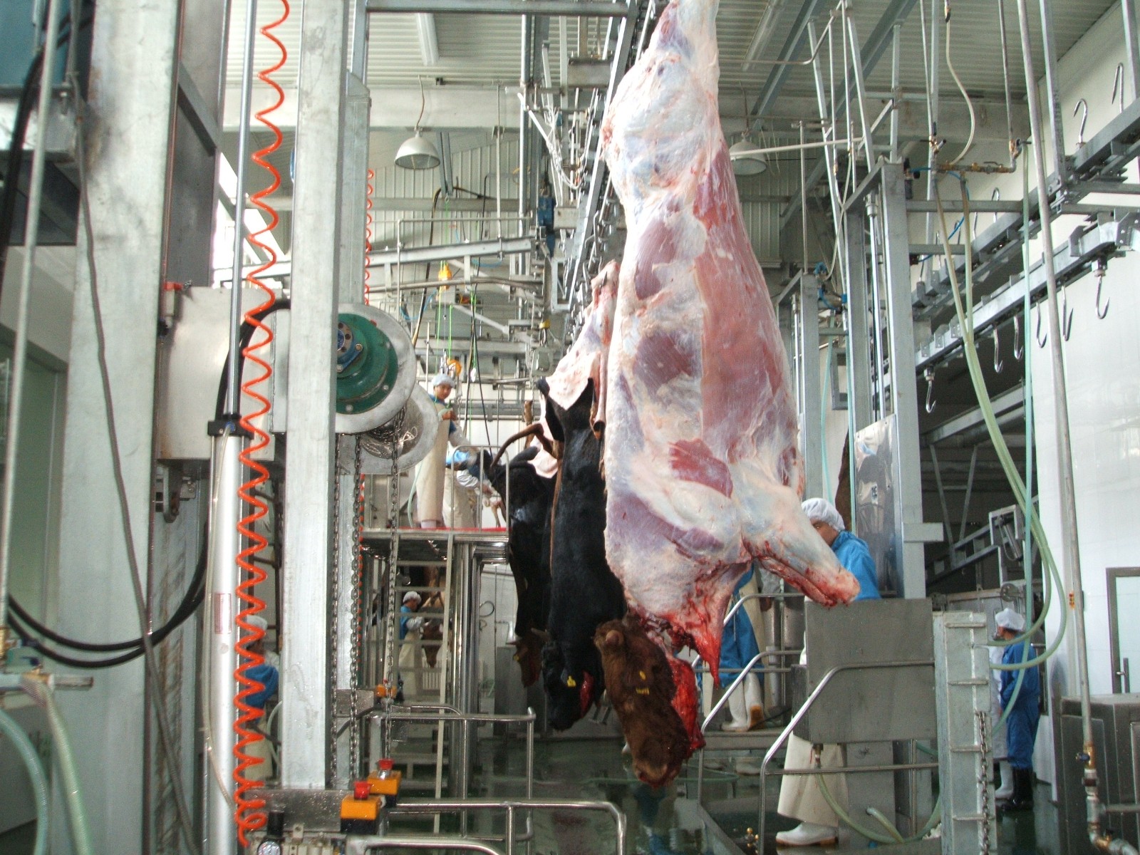 Bull Abattoir Machines / 2