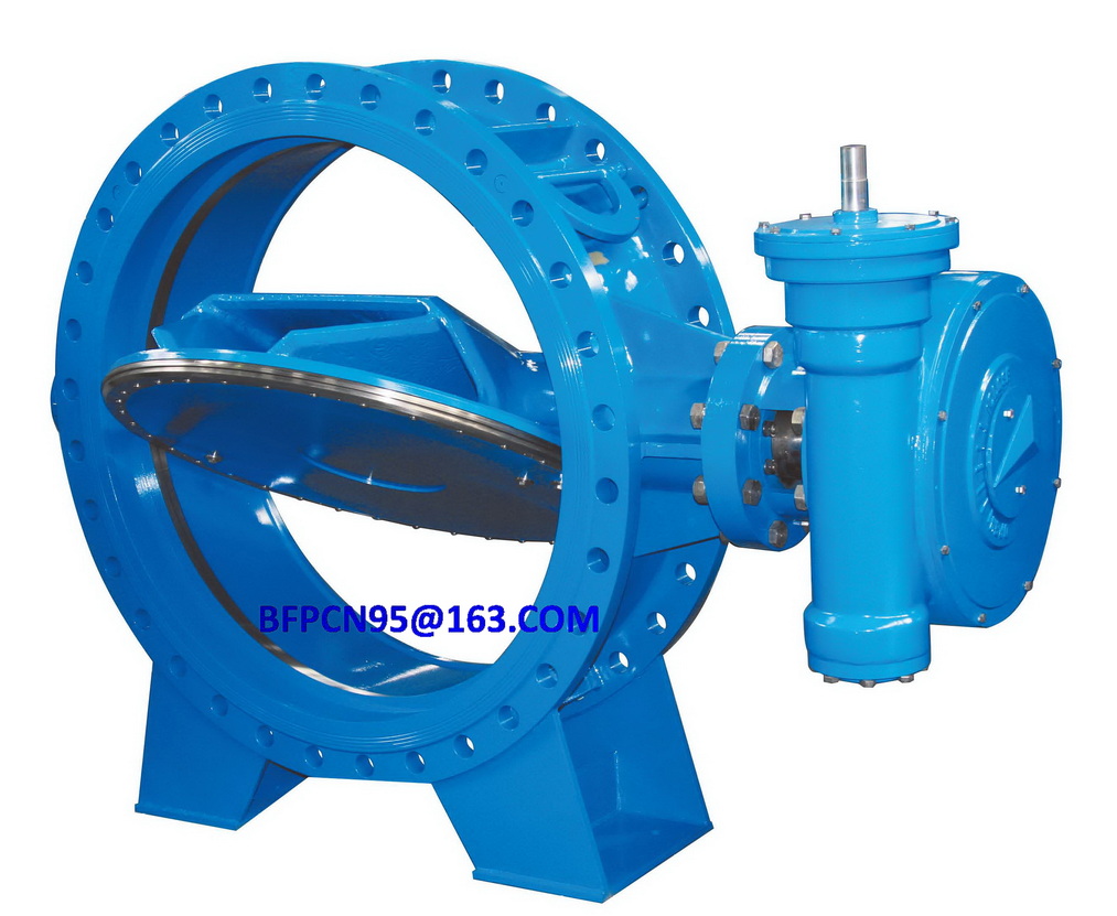 Butterfly valve / 5