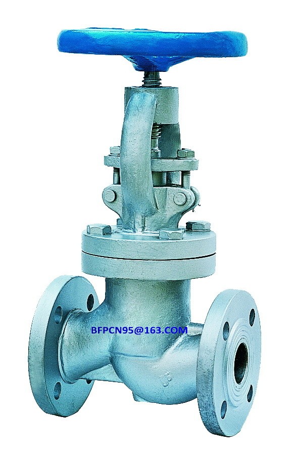 Globe valve / 5