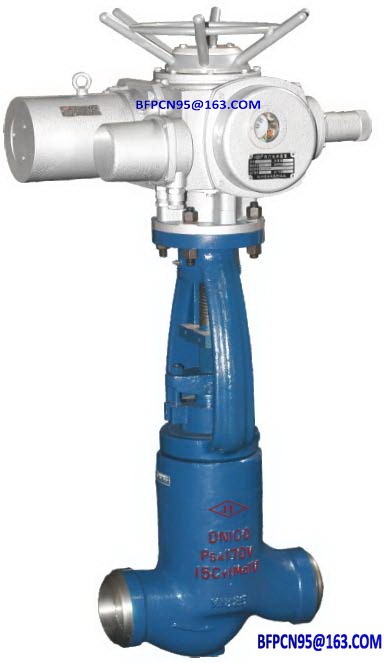 Globe valve / 2