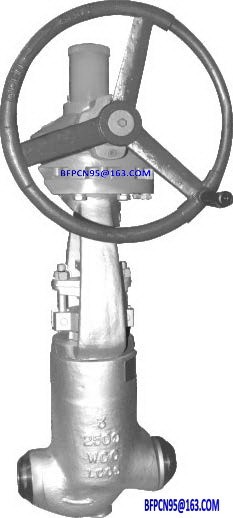 Globe valve / 8