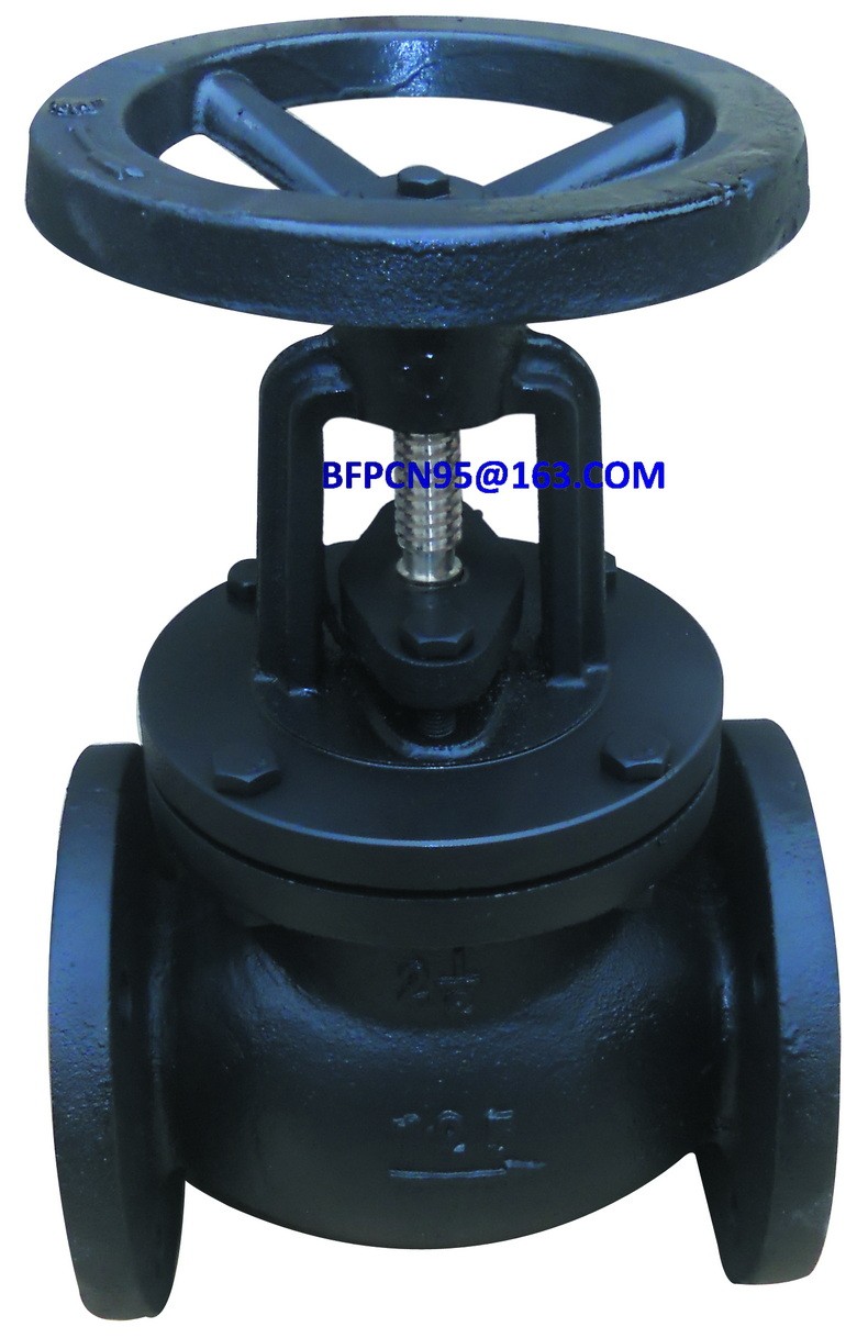 Globe valve / 3