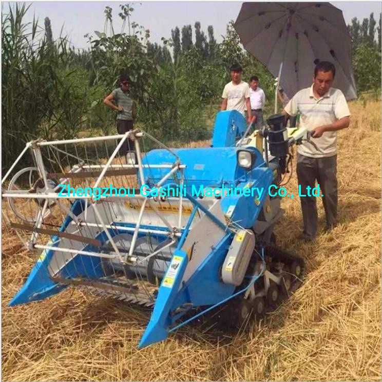 Rice Wheat Combine Harvester / 3