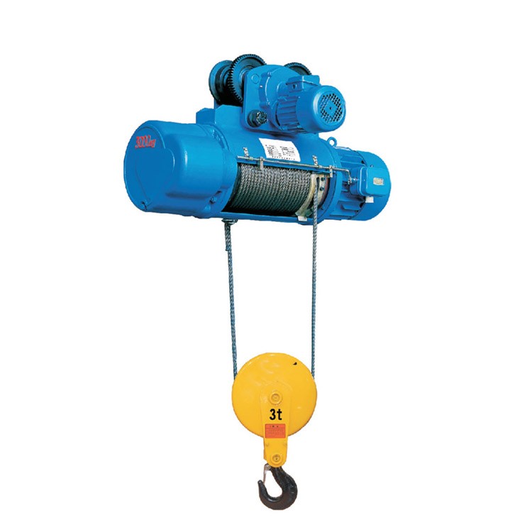 12t Cd Md Electric Hoist / 6