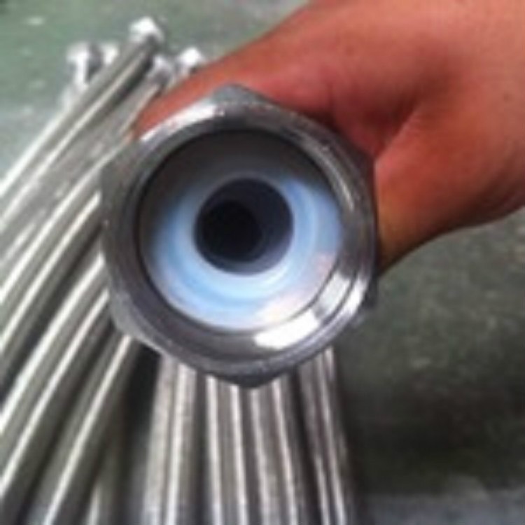 PTFE LINED Metal Hose / 6