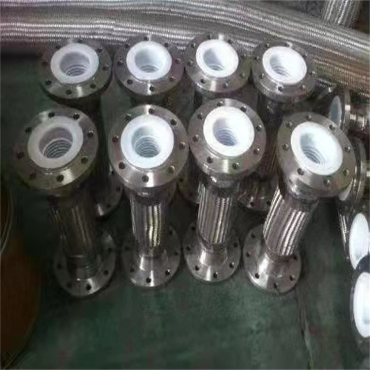 PTFE assembly metal hose / 2