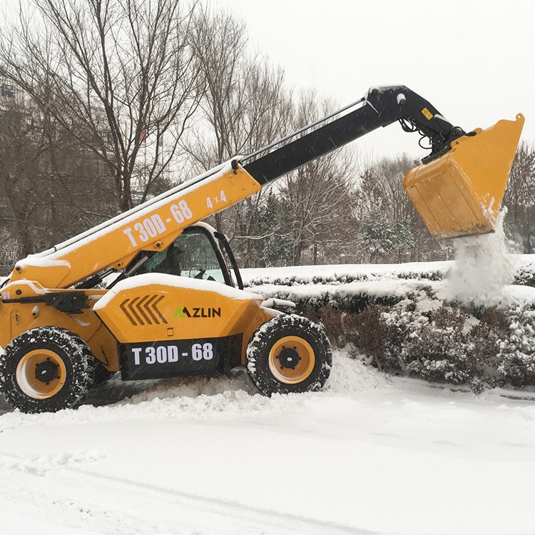 4x4 Multifunction Telehandler / 2