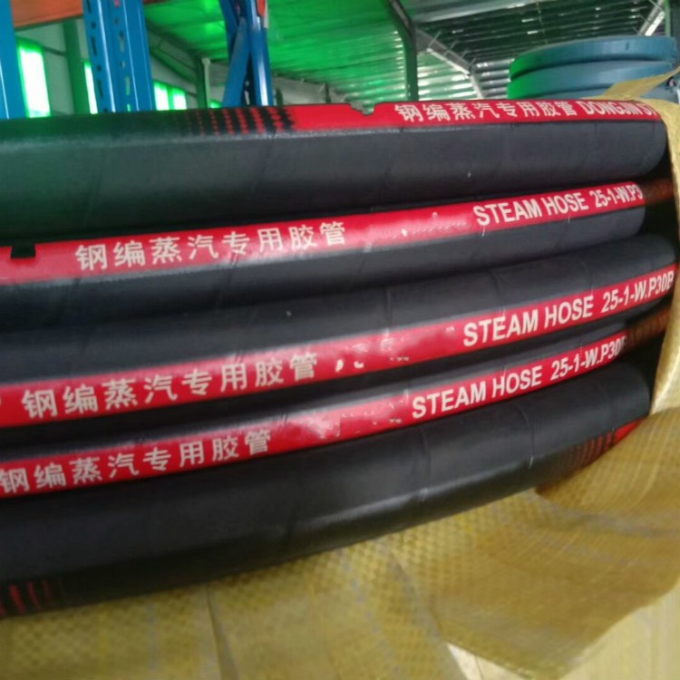 EPDM Steam Hose / 3