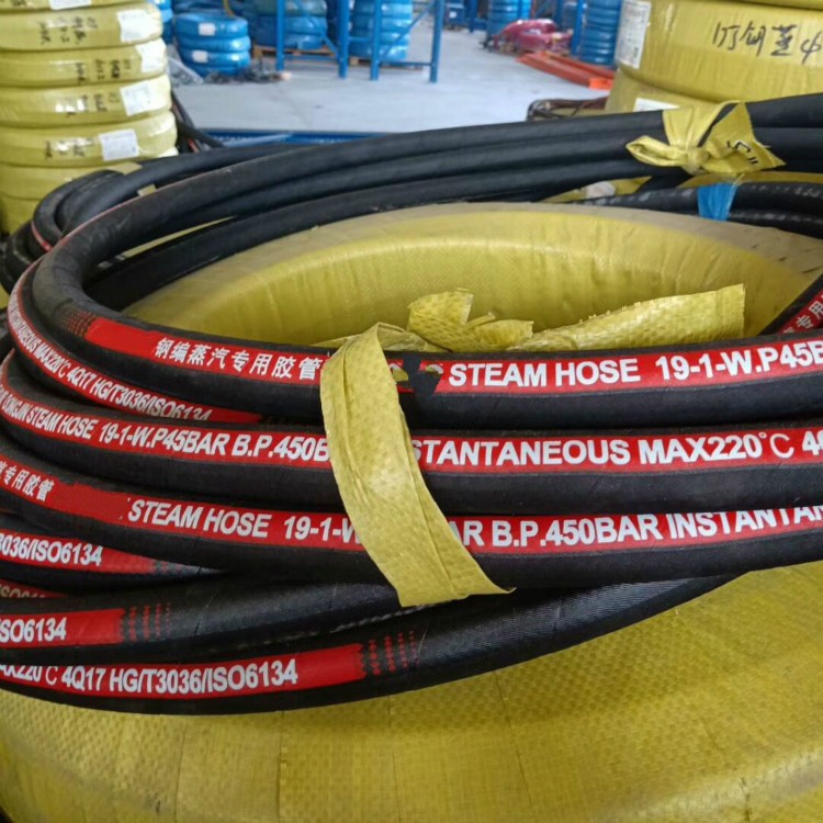 EPDM Steam Hose / 7