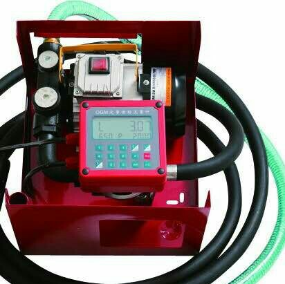 Portable Fuel Transfer Pump / 5