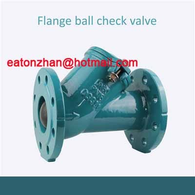 check valve / 3