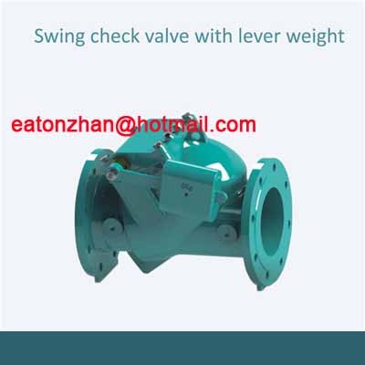 check valve / 4