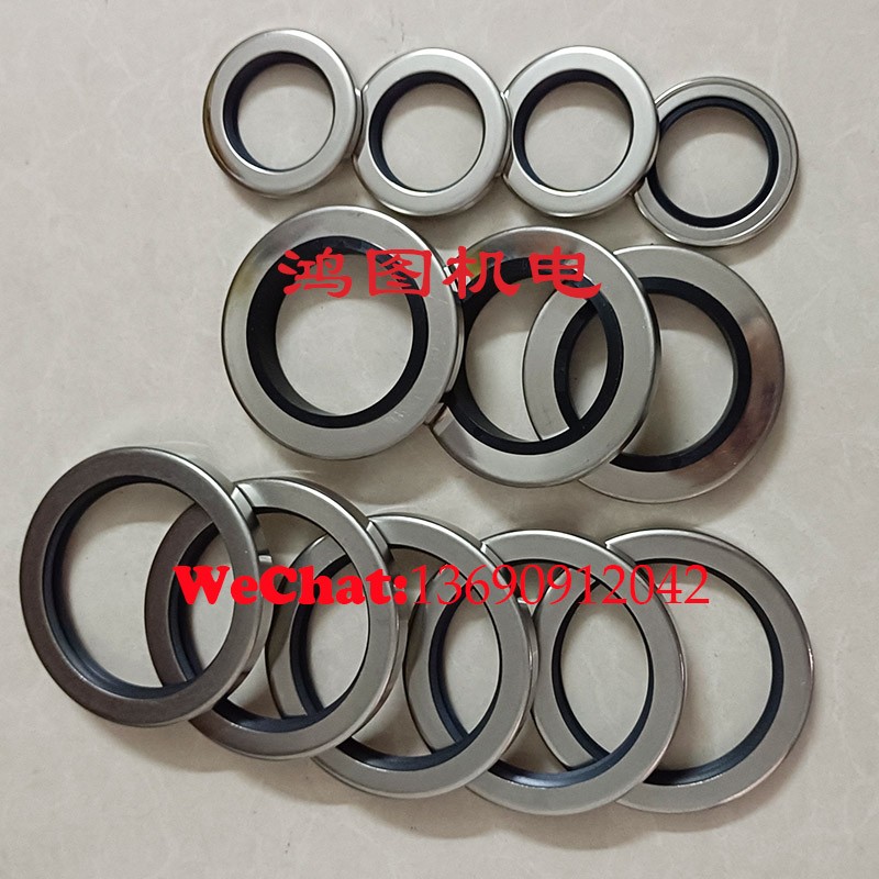 1616551700 Double Lip Oil Seal / 2