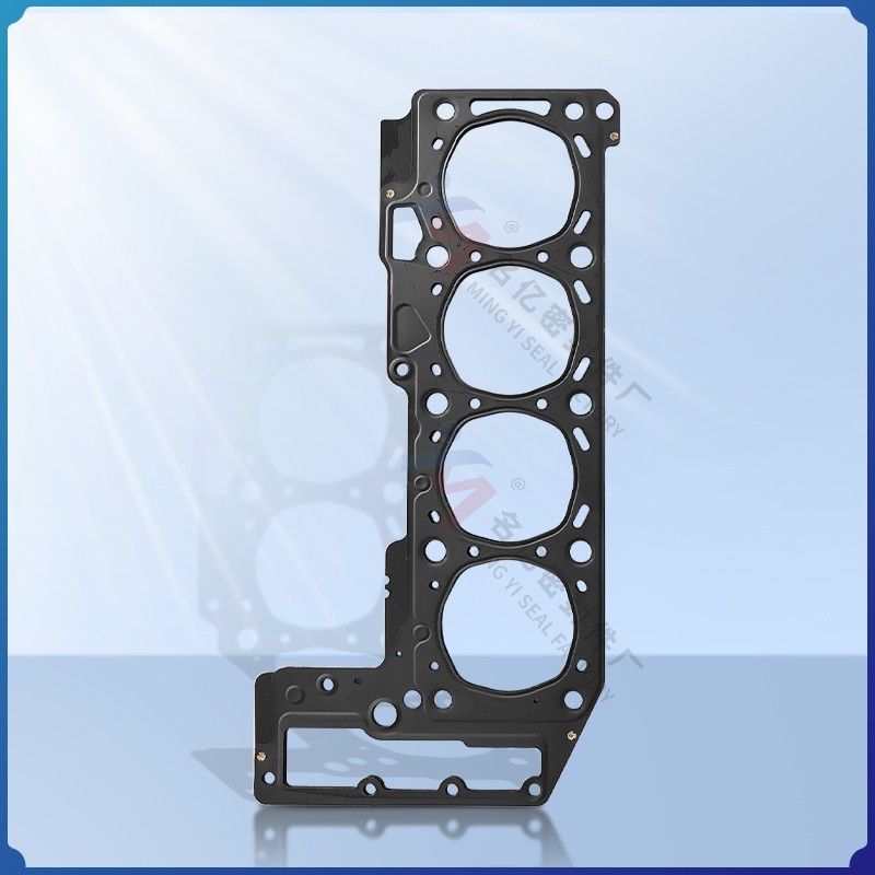 gasket 30-029972-00 / 1