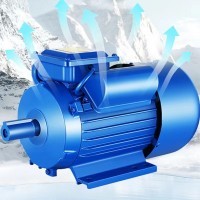 Electric motors. Single phase motors / 3