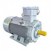 electric machinery. BT4 explosion-proof motor CT4 explosion-proof motor / 3