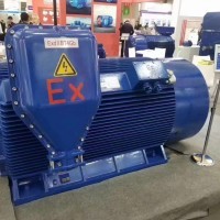 electric machinery. BT4 explosion-proof motor CT4 explosion-proof motor / 5