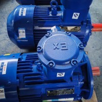 electric machinery. BT4 explosion-proof motor CT4 explosion-proof motor / 6