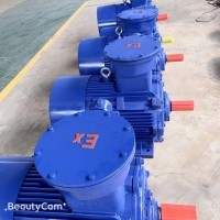 electric machinery. BT4 explosion-proof motor CT4 explosion-proof motor / 7