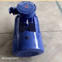 electric machinery. BT4 explosion-proof motor CT4 explosion-proof motor / 8