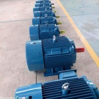 Electric motors, explosion-proof motors, single-phase motors, gear reducers / 5