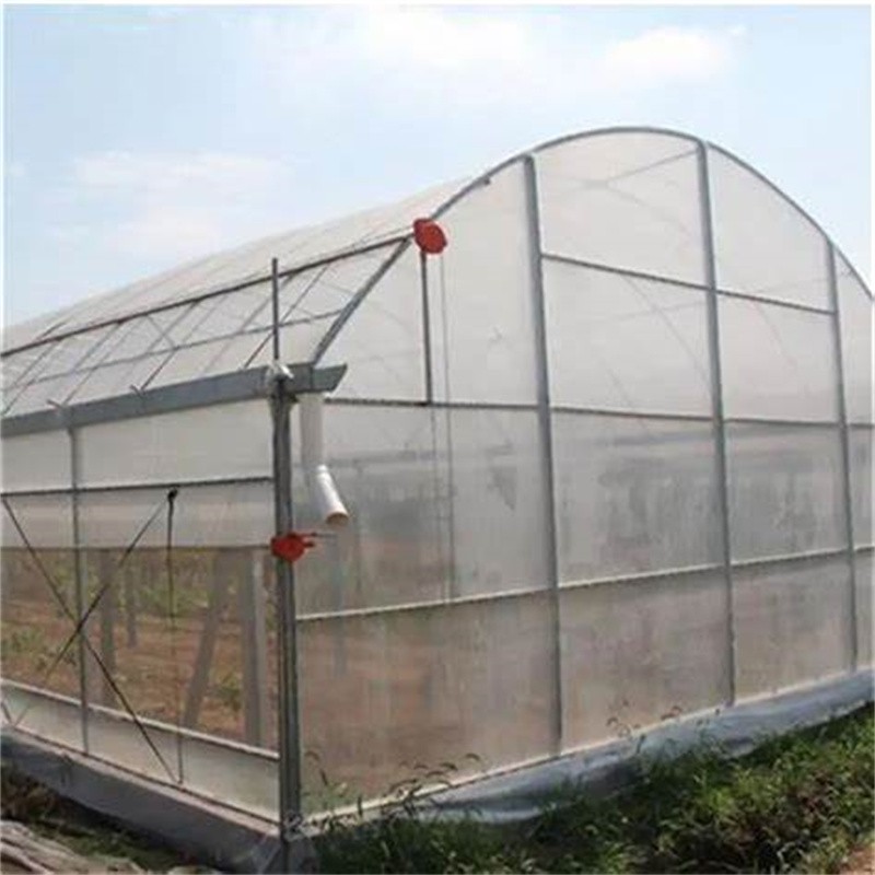 Single span greenhouse / 4