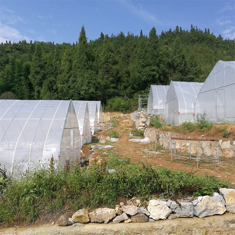 Single span greenhouse / 3