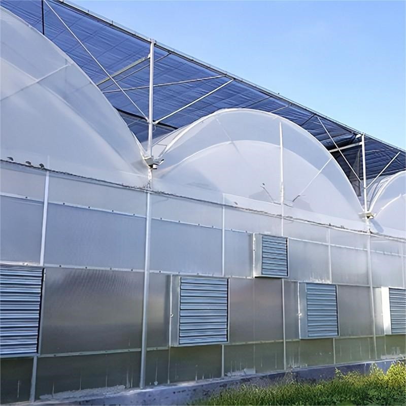 Multi span  greenhouse / 3