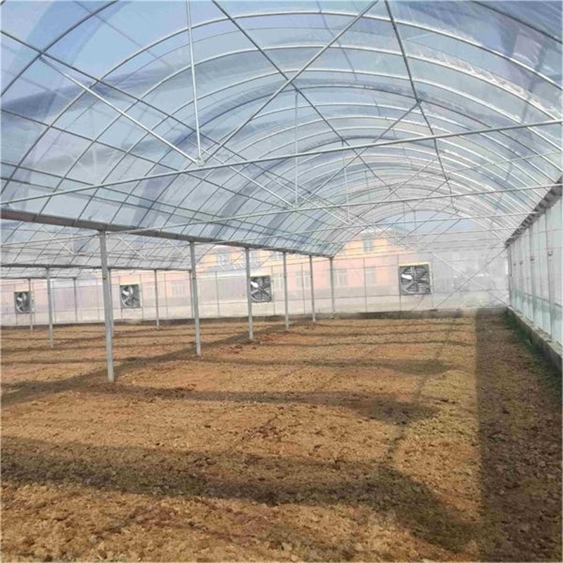 Multi span  greenhouse / 5