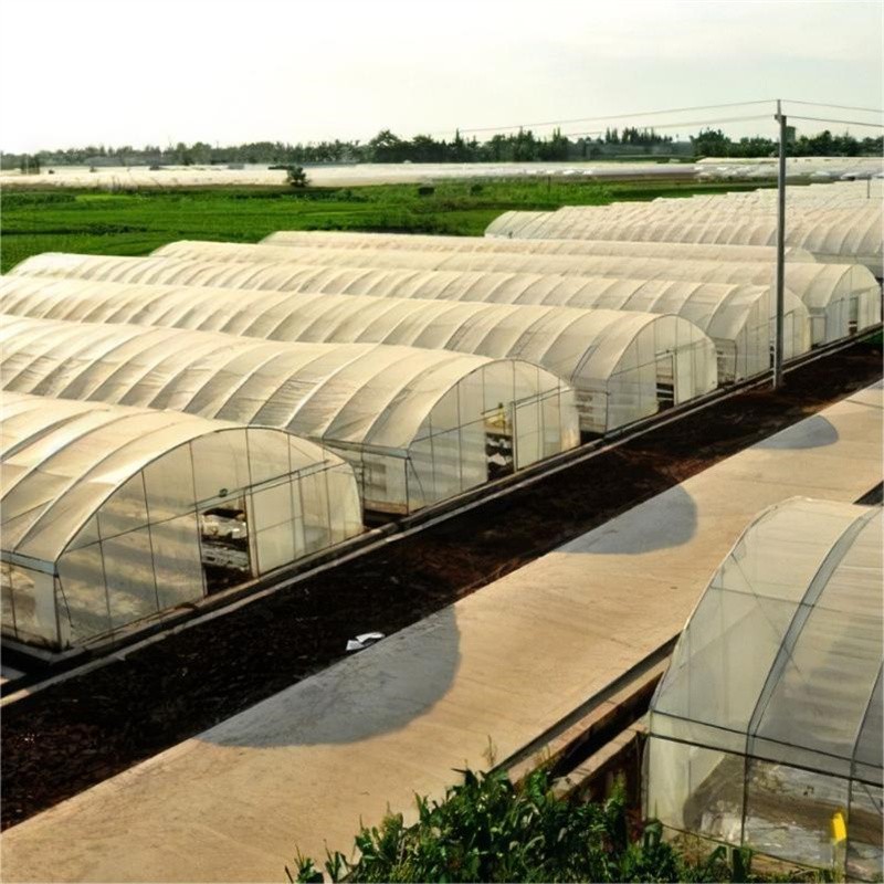 single span film greenhouse