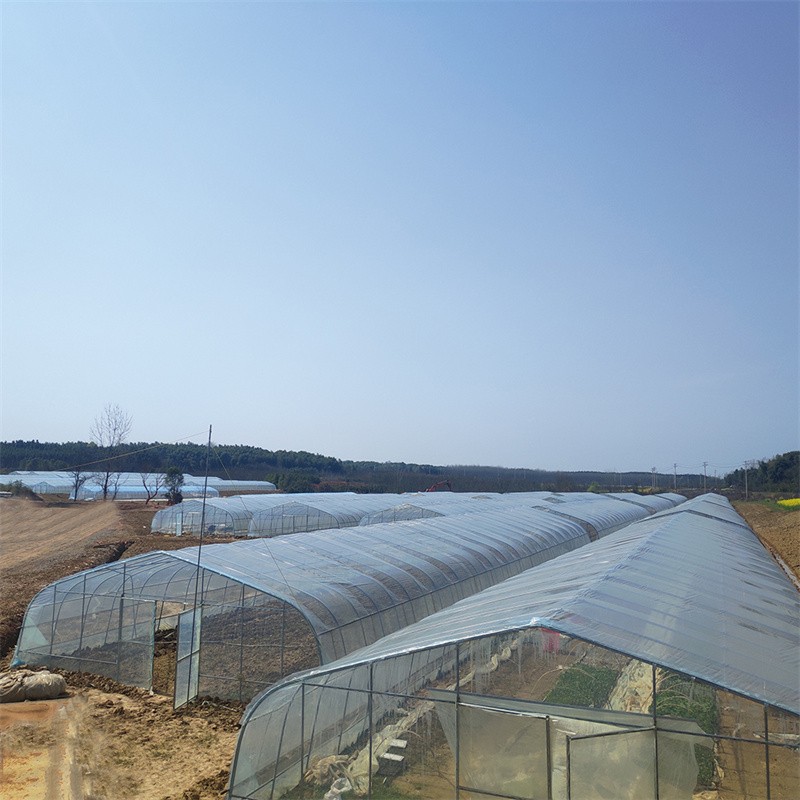 single span film greenhouse / 2