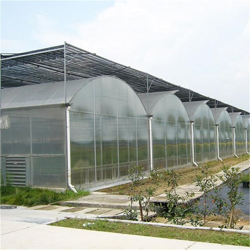 Multi span film steel structure greenhouse / 5