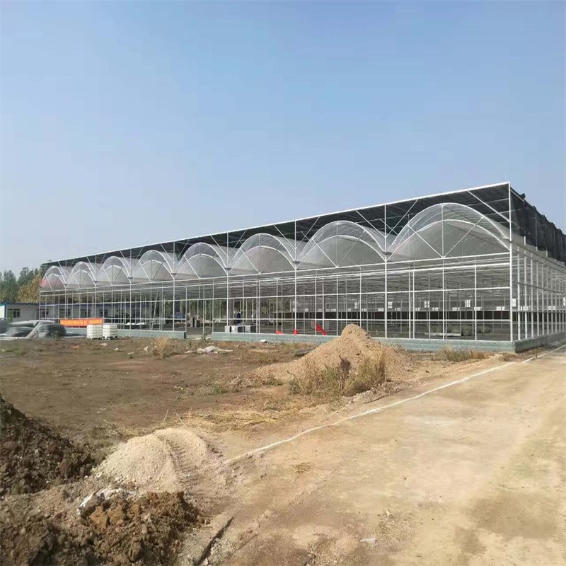 Multi span film steel structure greenhouse / 3