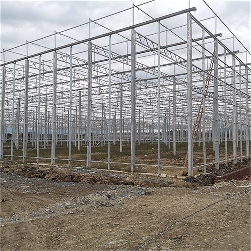 steel galvanized multi span greenhouse / 2