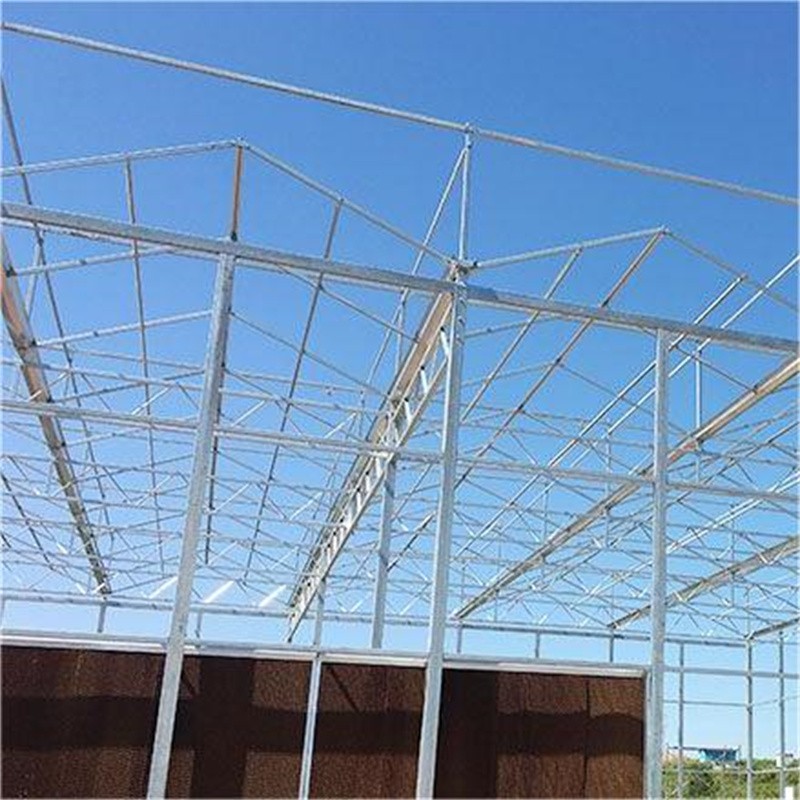 steel galvanized multi span greenhouse / 4