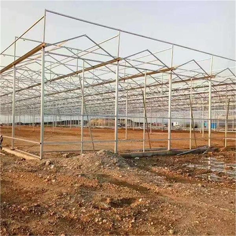 steel galvanized multi span greenhouse / 3